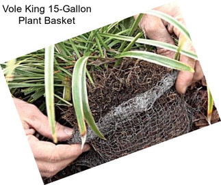 Vole King 15-Gallon Plant Basket