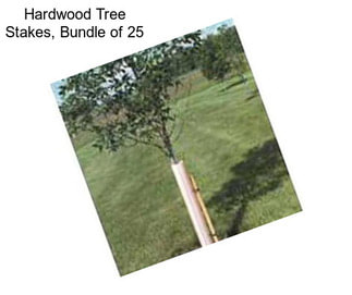 Hardwood Tree Stakes, Bundle of 25