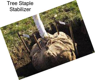 Tree Staple Stabilizer