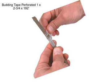 Budding Tape Perforated 1\