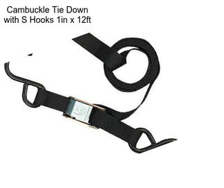 Cambuckle Tie Down with S Hooks 1in x 12ft