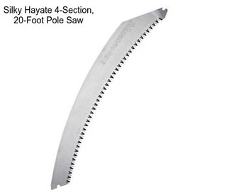 Silky Hayate 4-Section, 20-Foot Pole Saw