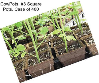 CowPots, #3 Square Pots, Case of 400