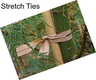 Stretch Ties