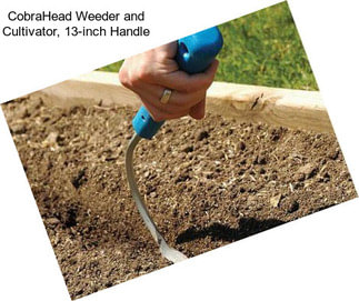 CobraHead Weeder and Cultivator, 13-inch Handle