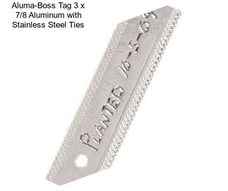 Aluma-Boss Tag 3\