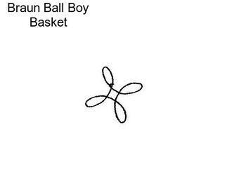 Braun Ball Boy Basket