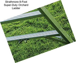 Strathmore 8-Foot Super-Duty Orchard Ladder