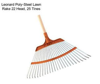 Leonard Poly-Steel Lawn Rake 22\