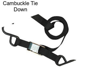 Cambuckle Tie Down
