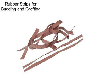 Rubber Strips for Budding and Grafting