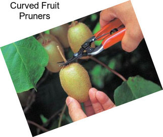 Curved Fruit Pruners
