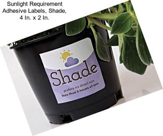 Sunlight Requirement Adhesive Labels, Shade, 4 In. x 2 In.