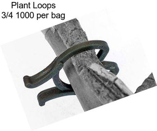 Plant Loops 3/4\