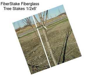 FiberStake Fiberglass Tree Stakes 1/2\