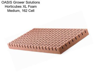 OASIS Grower Solutions Horticubes XL Foam Medium, 162 Cell