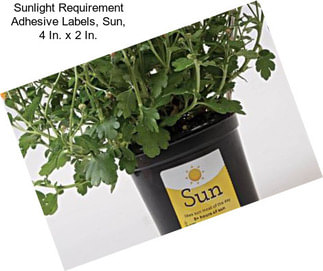 Sunlight Requirement Adhesive Labels, Sun, 4 In. x 2 In.