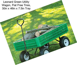 Leonard Green Utility Wagon, Flat Free Tires, 30in x 46in x 7.5in Tray