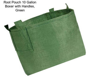 Root Pouch 10 Gallon Boxer with Handles, Green