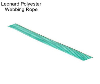 Leonard Polyester Webbing Rope