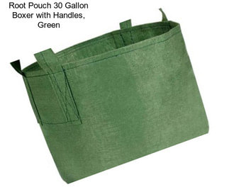 Root Pouch 30 Gallon Boxer with Handles, Green
