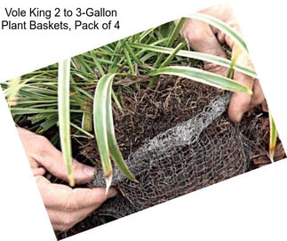Vole King 2 to 3-Gallon Plant Baskets, Pack of 4