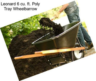 Leonard 6 cu. ft. Poly Tray Wheelbarrow