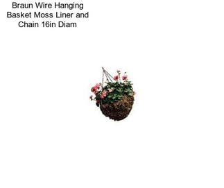 Braun Wire Hanging Basket Moss Liner and Chain 16in Diam