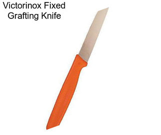 Victorinox Fixed Grafting Knife