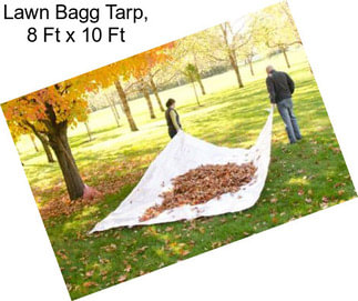 Lawn Bagg Tarp, 8 Ft x 10 Ft