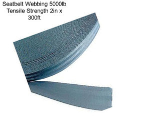 Seatbelt Webbing 5000lb Tensile Strength 2in x 300ft