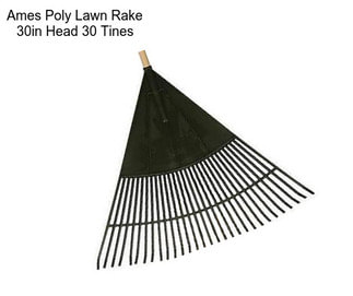 Ames Poly Lawn Rake 30in Head 30 Tines