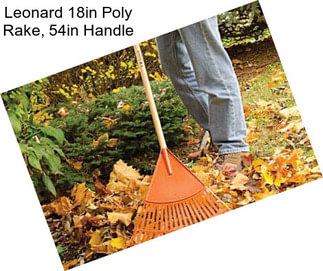 Leonard 18in Poly Rake, 54in Handle