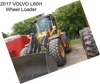 2017 VOLVO L60H Wheel Loader