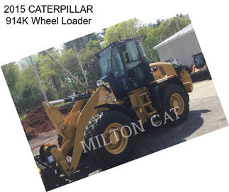 2015 CATERPILLAR 914K Wheel Loader