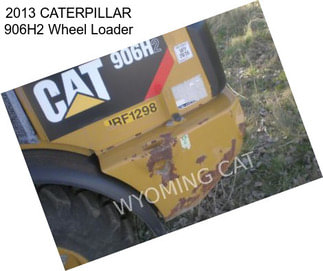 2013 CATERPILLAR 906H2 Wheel Loader