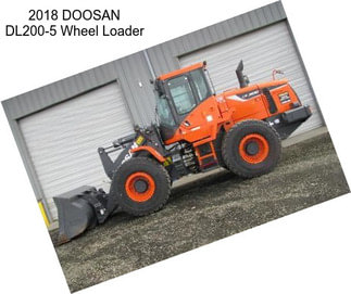 2018 DOOSAN DL200-5 Wheel Loader