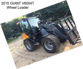2015 GIANT V6004T Wheel Loader
