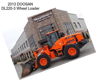 2013 DOOSAN DL220-3 Wheel Loader