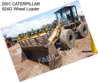 2001 CATERPILLAR 924G Wheel Loader