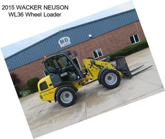2015 WACKER NEUSON WL36 Wheel Loader