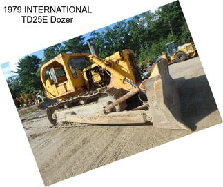 1979 INTERNATIONAL TD25E Dozer