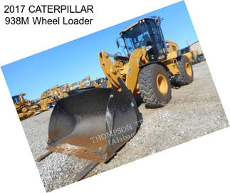 2017 CATERPILLAR 938M Wheel Loader