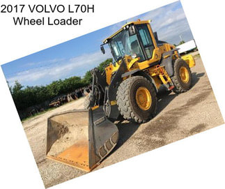 2017 VOLVO L70H Wheel Loader