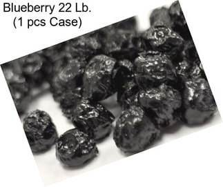 Blueberry 22 Lb. (1 pcs Case)