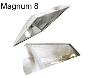 Magnum 8