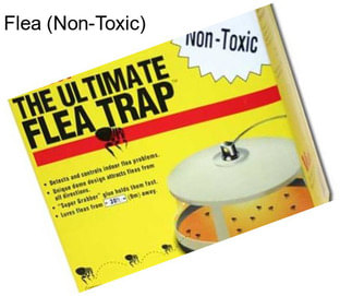 Flea (Non-Toxic)