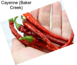 Cayenne (Baker Creek)