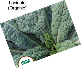 Lacinato (Organic)