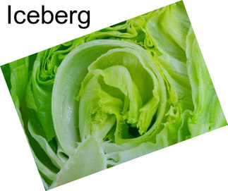 Iceberg